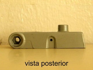 vista posterior 