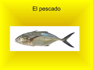 El pescado 
