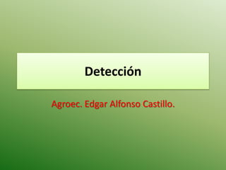 Detección

Agroec. Edgar Alfonso Castillo.
 