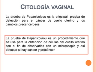 CITOLOGÍA VAGINAL 
La prueba de Papanicolaou es la principal prueba de 
detección para el cáncer de cuello uterino y los 
cambios precancerosos. 
La prueba de Papanicolaou es un procedimiento que 
se usa para la obtención de células del cuello uterino 
con el fin de observarlas con un microscopio y así 
detectar si hay cáncer y precáncer. 
 