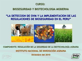 “ LA DETECCION DE OVM Y LA IMPLEMENTACION DE LAS REGULACIONES DE BIOSEGURIDAD EN EL PERU” COMPONENTE: REGULACIÓN DE LA SEGURIDAD DE LA BIOTECNOLOGÍA AGRARIA INSTITUTO NACIONAL DE INNOVACIÓN AGRARIA Diciembre del 2010 CURSO:  BIOSEGURIDAD Y BIOTECNOLOGIA MODERNA 