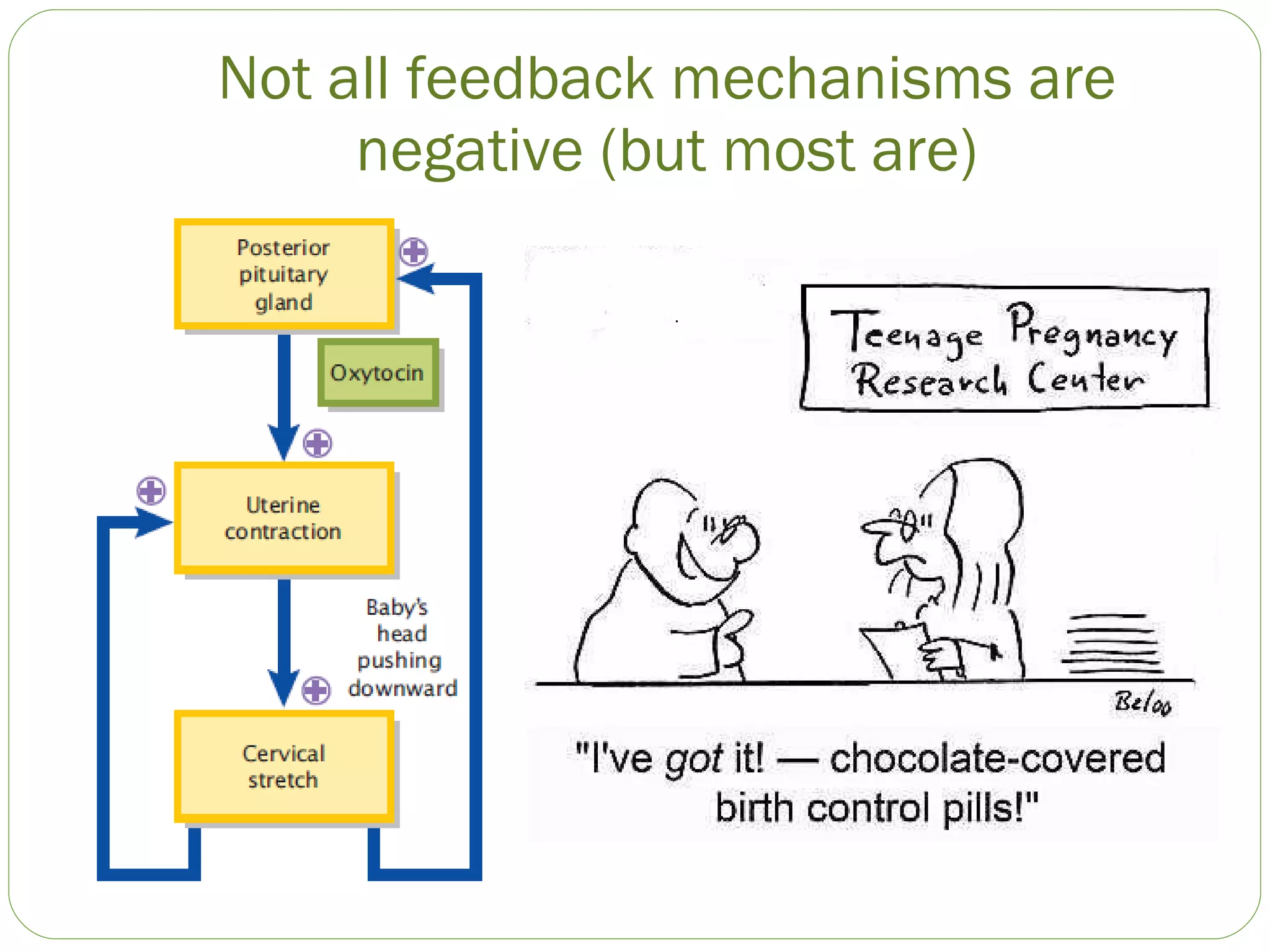 Not all feedback mechanisms are negative (but most are) 