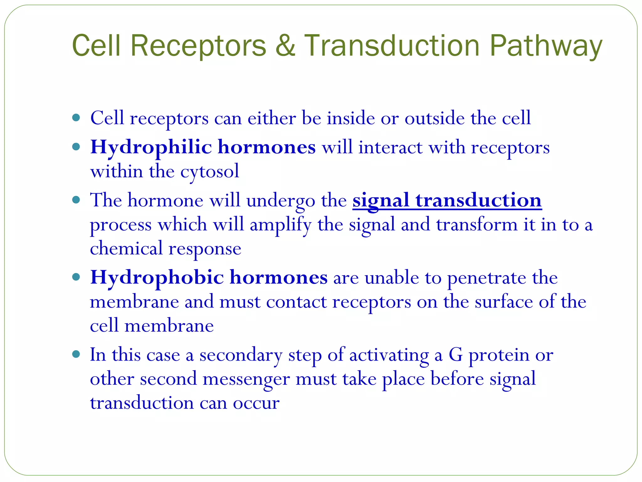 Cell Receptors & Transduction Pathway Cell receptors can either be inside or outside the cell Hydrophilic hormones  will interact with receptors within the cytosol The hormone will undergo the  signal transduction  process which will amplify the signal and transform it in to a chemical response Hydrophobic hormones  are unable to penetrate the membrane and must contact receptors on the surface of the cell membrane In this case a secondary step of activating a G protein or other second messenger must take place before signal transduction can occur 