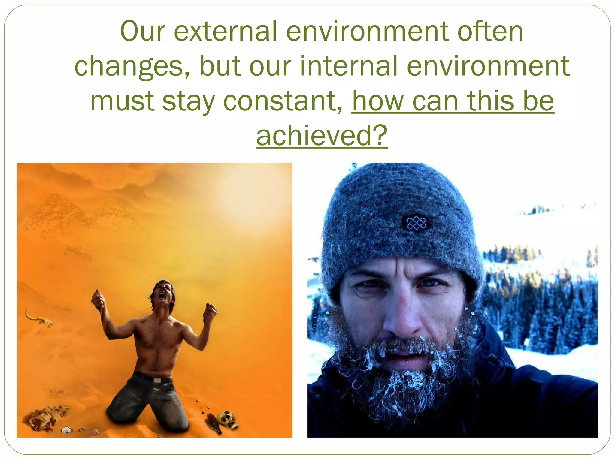 Our external environment often changes, but our internal environment must stay constant,  how can this be achieved? 