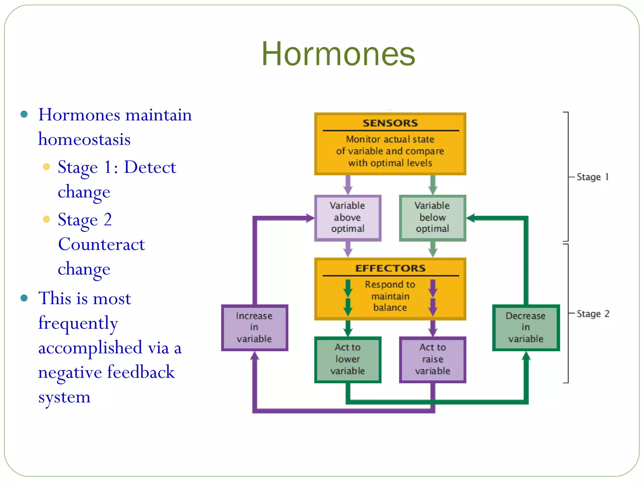 Hormones Hormones maintain homeostasis Stage 1: Detect change Stage 2 Counteract change This is most frequently accomplished via a negative feedback system 