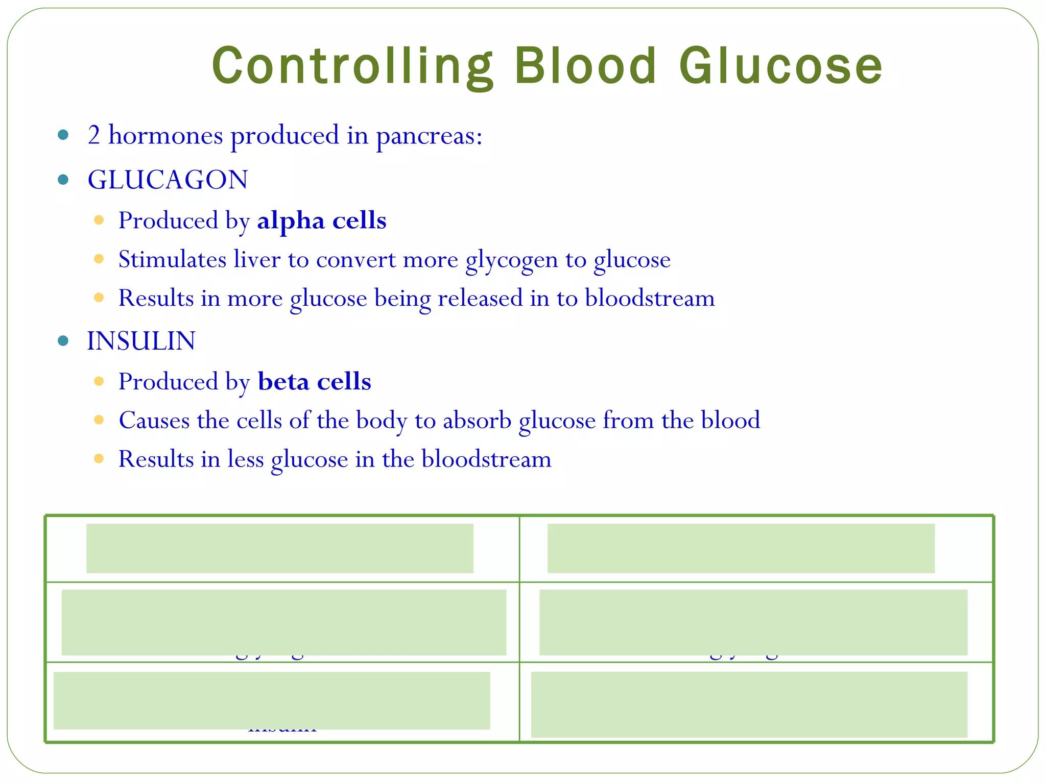 Controlling Blood Glucose 2 hormones produced in pancreas: GLUCAGON Produced by  alpha cells Stimulates liver to convert more glycogen to glucose Results in more glucose being released in to bloodstream INSULIN Produced by  beta cells Causes the cells of the body to absorb glucose from the blood Results in less glucose in the bloodstream Beta cells  decreasing  production of insulin Beta cells  increasing  production of insulin Alpha cells  increasing  production of glycogen Alpha cells  decreasing  production of glycogen Blood glucose can be  raised  by: Blood glucose can be  lowered  by: 