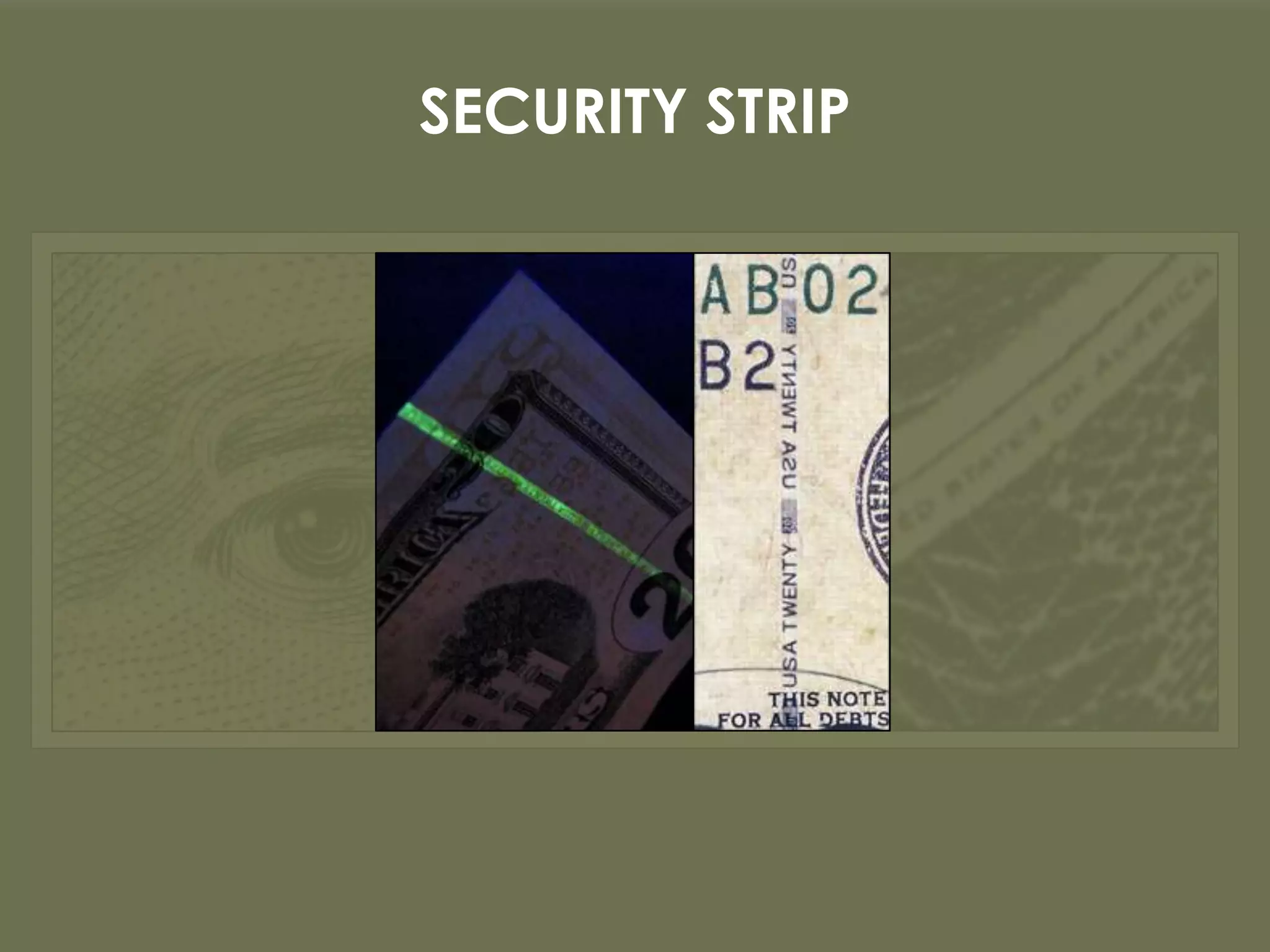 SECURITY STRIP