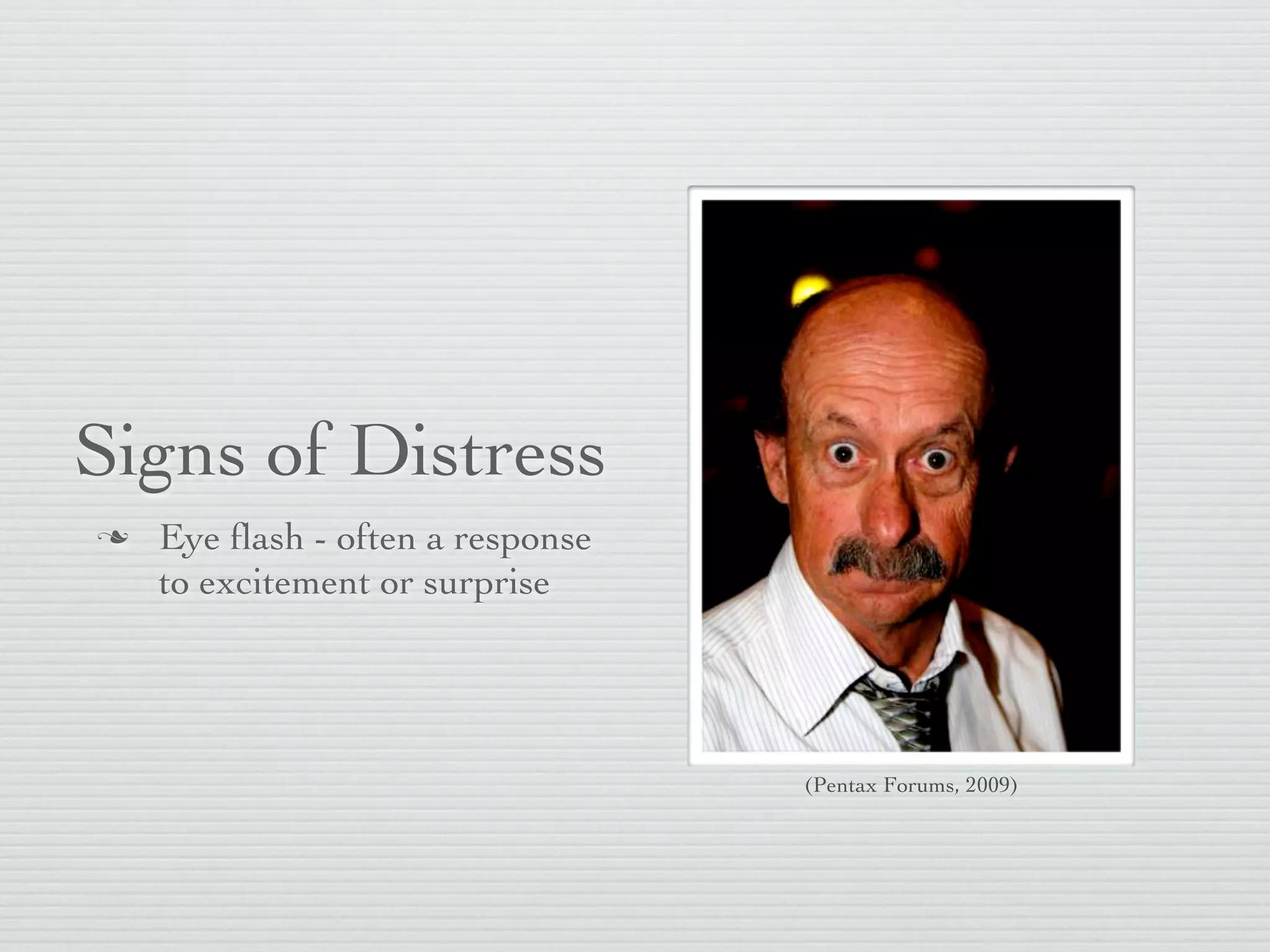 Signs of Distress
   Eye ﬂash - often a response
    to excitement or surprise




                                  (Pentax Forums, 2009)
 
