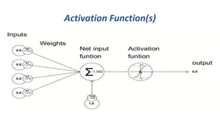 Activation Function(s)
23
 