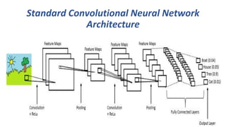 Standard Convolutional Neural Network
Architecture
24
 