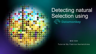 Detecting natural
Selection using
B I O 5 3 4
Tu t o r i a l B y F a b r i c e K e n t a t c h i m e
 