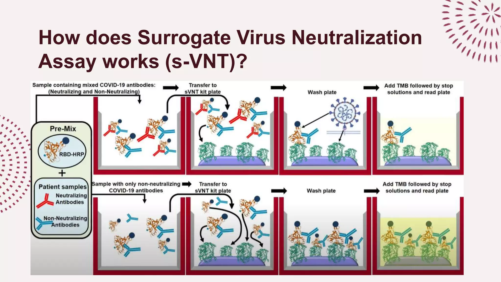 Neutralisation Virus Detecting neutralization antibodies to covid 19 | PPTX