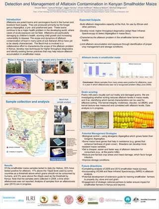 Detection and Management of Aflatoxin Contamination in Kenyan Smallholder Maize
                                                                                  Vincent Were1, Samuel Mutiga2, Jagger Harvey1, Vivian Hoffman3, Rebecca Nelson2, Michael Milgroom2.
                                                                                                     1Biosciences  eastern and central Africa Hub, International Livestock Research Institute, Nairobi, Kenya;
                                                                                2Dept. of Plant Pathology and Plant-Microbe Biology, Cornell University, USA; 3Maryland Population Research Center, University of Maryland, USA




   Introduction                                                                                                                                                   Expected Outputs
   Aflatoxins are potent toxins and carcinogens found in the human and
   livestock food supply. They are produced primarily by the fungal                                                                                               -Build aflatoxin diagnostics capacity at the Hub, for use by African and
   genus Aspergillus, a pre‐ and postharvest pest. These toxins                                                                                                     other partners.
   continue to be a major health problem in the developing world, where                                                                                           -Develop novel, higher throughput diagnostics (adapt Near Infrared
   cases of acute exposure can be fatal. Aflatoxins are particularly                                                                                                Spectroscopy to detect Aspergillus in maize flour).
   damaging to children’s health, stunting child growth and increasing
   vulnerability to disease. The scope and dynamics of aflatoxin                                                                                                  -Characterize the aflatoxin problem in the smallholder farmer food
   contamination of food in many parts of sub‐Saharan Africa have yet                                                                                               supply.
   to be clearly characterized. The BecA Hub is involved in a                                                                                                     -Limit aflatoxin accumulation and exposure through identification of proper
   collaborative effort to characterize the scope of the aflatoxin problem                                                                                           crop management and storage conditions.
   in Kenya, develop new techniques for higher throughput diagnostics
   and identify existing farmer practices that may help reduce aflatoxin
   accumulation in smallholder maize.
                                                                                                                                                                    Aflatoxin levels in smallholder maize
       Maize in Kenya: a staple crop for people and a livestock feed
                                                            moldy maize grains                    posho mill (smallholder           Ugali                                                                                                            90
                                                                                                                                                                      Number of samples in each Aflatoxin (ppb) bracket
                                                                                                  maize flour production)                                                                                                                               80                        Aflatoxin levels by area
                                                                                                                                                                                      50
                                                                                                                                                                                      45                                                                70
                                                                                                                                                                                      40
                                                                                                                                                                                                                                                        60




                                                                                                                                                                                                                                                  Aflatoxin
                                                                                                                                                                                      35




                                                                                                                                                                      Frequency (%)




                                                                                                                                                                                                                                                   (ppb)
                                                                                                                                                                                      30                                                                50
                                                                                                                                                                                      25
                                                                                                                                                                                                                                                        40
                                                                                                                                                                                      20
                                                                                                                                                                                      15                                                                30
                                                                                                                                                                                      10
                                                                                                                                                                                       5                                                                20
                                                                                                                                                                                       0
                                                                                                                                                                                                                                                        10
                                                                                                                                                                                           Negatives   Below 10             10 to 20   Above 20
                                                                                                                                                                                                                  Aflatoxin (ppb)
                                                                                                                                                                                                                                                          0
                                                                                                                                                                                                                                                              Bungoma   Eldoret        Kisii   Kitale   Machakos   Makueni   Nairobi



                                                                                                   livestock feed           milk
                                                                                                                                                                     Conclusion: Maize samples from many areas were positive for aflatoxins, even
                                                                                                                                                                     in a year in which aflatoxicosis was not a recognized problem (May-June 2009).
 Mycelium       sclerotia




 kernels      Cobs          Debris   http://www.aspergillusflavus.org/aflavus
                                                                                                                                                                    Grain scoring
                                                                                                                                                                    Posho mill users visually sort out moldy and damaged grains. We are
                                                                                                                                                                    investigating whether sorting reduces aflatoxin levels in maize meals,
                                                                                                                              BecA Hub:                             and if so, identifying which kernel characteristics can be used for
 Sample collection and analysis                                                                                             sample analysis                         effective sorting. The kernel integrity; moldiness, discolor, rot (MDR); and
                                                                                                                                                                    kernel texture was measured and correlated with aflatoxin levels. Data
                                                                                                                                                                    analysis is in progress.




                                                                                                                                                                     High MDR score                     Low MDR score                                          dent                                          flint
                                                                                                                                      Aflatoxin extraction


                                                                                                                                                                    Potential Management Strategies
                                                                                                                                                                    •Biological control – using atoxigenic Aspergillus which grows faster than
                                                                                                                                      Helica MycoMonitor
                                                                                                                                      Total Aflatoxin Assay, a
                                                                                                                                                                       toxigenic Aspergillus.
                                                                                                                                      solid phase direct
                                                                                                                                      competitive enzyme            •Some maize have genes that help in resistance (e.g, genes that
                                                                                                                                      immunoassay with a
                                                                                                                                      detection limit of 1 part        enhance hardness of grain cover). Breeders can develop more
                                                                                                                                      per billion (ppb).
            already analyzed                                                                                                                                        resistant maize varieties.
                                                                                                                                      Vicam aflatest
                                                                                                                                      (fluorometer/monoclonal
                                                                                                                                                                    •Get a cheaper, easier and faster way of aflatoxin detection for
            Analysis in progress                                                                                                      antibodybased
                                                                                                                                                                       consumers (e.g., at the posho mills).
                                                                                                                                      affinity chromatography;
                                                                                                                                      0.1‐300 ppb aflatoxin
                                                                                                                                      measurement)                  •Reduce pre-harvest crop stress and insect damage, which favor fungal
                                                                                                                                                                       infection.
                                                                                                              Data analysis                                         •Improve storage conditions.

Results                                                                                                                                                             Future directions
Of the smallholder maize samples tested to date (by Helica), 35% have                                                                                               •Completing analysis of 2009 and 2010 smallholder maize surveys.
tested positive for aflatoxin, 11% above the 10ppb level used by some                                                                                               •Incorporating VICAM and Near Infrared Spectroscopy (NIRS) in aflatoxin
countries as a threshold above which grains should not be consumed by                                                                                                  analysis.
humans, and 3% were above the 20ppb used as the threshold by                                                                                                        •Potential development of extension guide for training smallholder farmers
Kenya. Note that the samples were collected in 2009, a time when                                                                                                       to properly dry, store and sort grain.
aflatoxicosis was not reported. Analysis of samples from an aflatoxicosis                                                                                           •Engagement of strategic national partners to better ensure impact for
year (2010) are in progress.                                                                                                                                           smallholder farmers in Kenya and beyond.
 