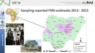 Sampling reported FMD outbreaks 2013 - 2015
 