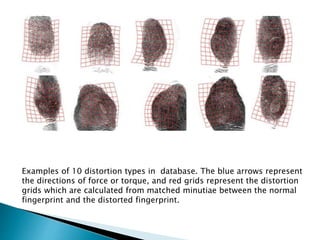 Examples of 10 distortion types in database. The blue arrows represent
the directions of force or torque, and red grids represent the distortion
grids which are calculated from matched minutiae between the normal
fingerprint and the distorted fingerprint.
 