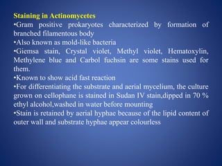 Staining in Actinomycetes
•Gram positive prokaryotes characterized by formation of
branched filamentous body
•Also known as mold-like bacteria
•Giemsa stain, Crystal violet, Methyl violet, Hematoxylin,
Methylene blue and Carbol fuchsin are some stains used for
them.
•Known to show acid fast reaction
•For differentiating the substrate and aerial mycelium, the culture
grown on cellophane is stained in Sudan IV stain,dipped in 70 %
ethyl alcohol,washed in water before mounting
•Stain is retained by aerial hyphae because of the lipid content of
outer wall and substrate hyphae appear colourless
 