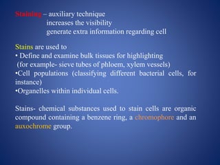 Staining | PPTX