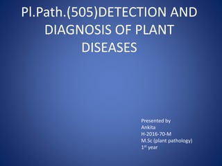 Pl.Path.(505)DETECTION AND
DIAGNOSIS OF PLANT
DISEASES
Presented by
Ankita
H-2016-70-M
M.Sc (plant pathology)
1st year
 
