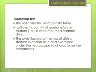Detection methodology used for quarantine object in import and export ...