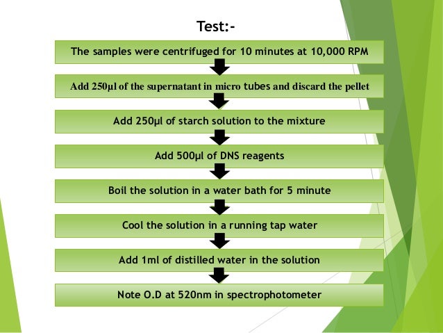 Detection Of Alpha Amylase And Protease Enzyme