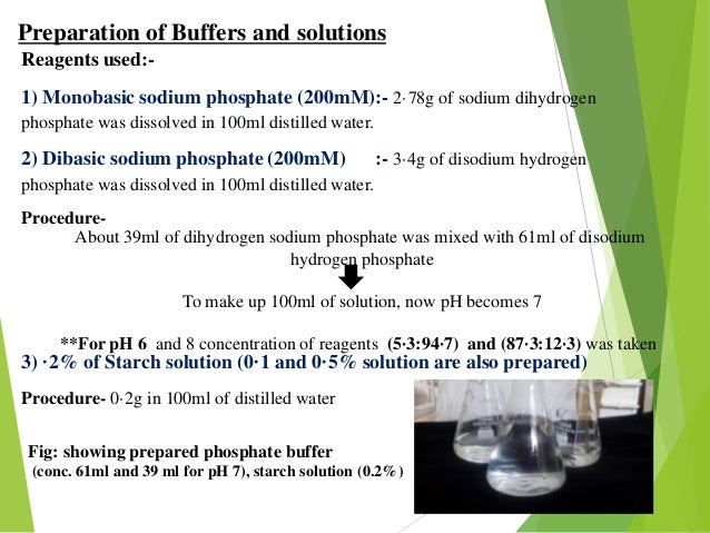 a study of enzyme alpha amylase What about alpha amylase concentration for the enzyme and i would like to study some oat compounds for their enzyme with alpha amylase assay using dns. a study of enzyme alpha amylase What about alpha amylase concentration for the enzyme and i would like to study some oat compounds for their enzyme with alpha amylase assay using dns.