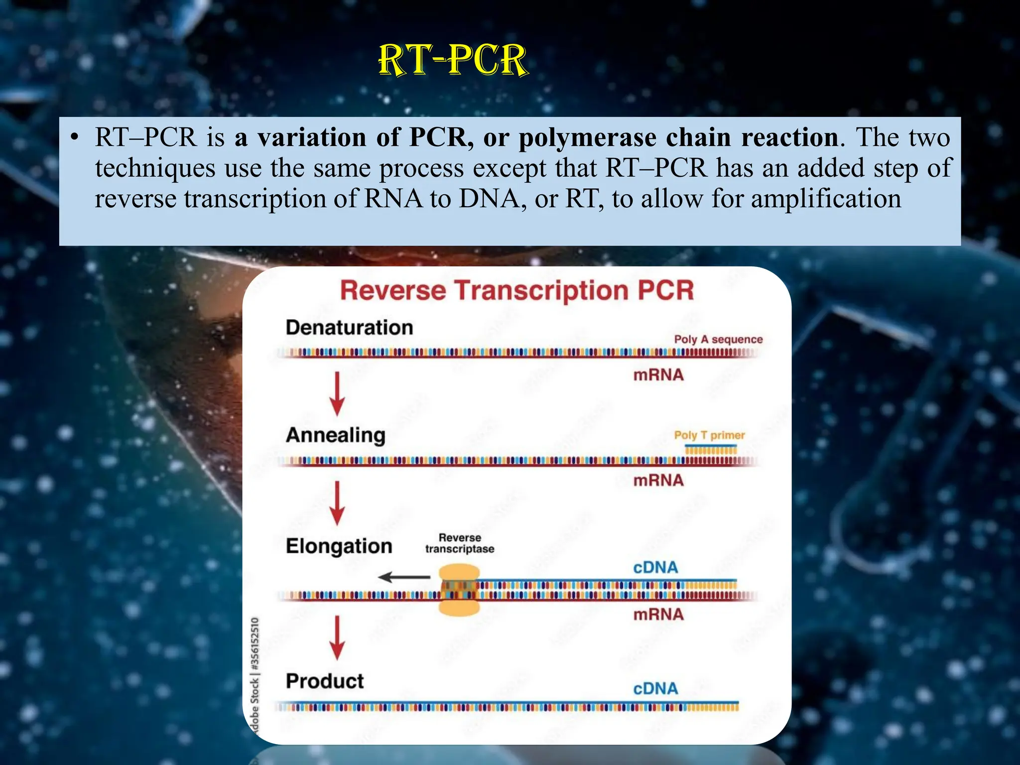 RT-PCR
• RT–PCR is a variation of PCR, or polymerase chain reaction. The two
techniques use the same process except that RT–PCR has an added step of
reverse transcription of RNA to DNA, or RT, to allow for amplification
 