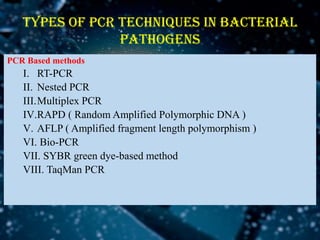 DETECTION OF BACTERIAL PLANT PATHOGENS BY SEROLOGICAL METHODS 2.pdf