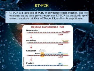 DETECTION OF BACTERIAL PLANT PATHOGENS BY SEROLOGICAL METHODS 2.pdf