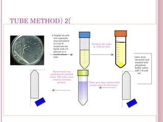 Loopful Detection of Biofilm | PPT