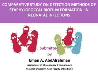COMPARATIVE STUDY ON DETECTION METHODS OF
STAPHYLOCOCCAL BIOFILM FORMATION IN
NEONATAL INFECTIONS
Submitted
by
Eman A. AbdAlrahman
Ass.lecturer of Microbiology & Immunology
AL-Azhar university- Asuit Faculty of Medicine
1
 