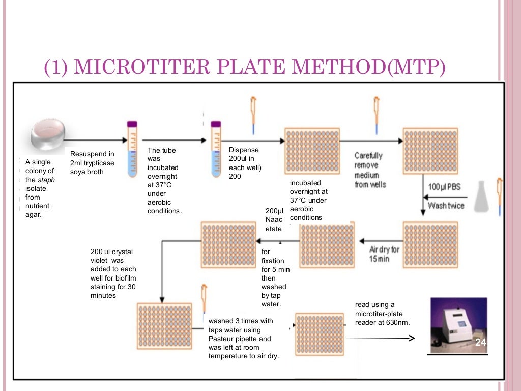 Detection of Biofilm