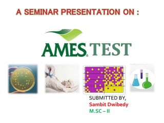 TEST
SUBMITTED BY,
Sambit Dwibedy
M.SC – II
 