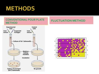 CONVENTIONAL POUR PLATE
METHOD
FLUCTUATION METHOD
 