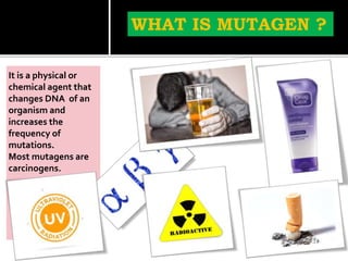 It is a physical or
chemical agent that
changes DNA of an
organism and
increases the
frequency of
mutations.
Most mutagens are
carcinogens.
WHAT IS MUTAGEN ?
 