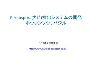 Pernospora(カビ)検出システムの開発
ホウレンソウ、バジル
つくば遺伝子研究所
http://www.tsukuba-genetech.com/
 