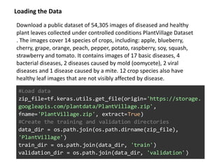 Detection of plant diseases | PPT