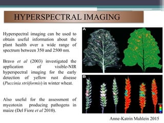 HYPERSPECTRAL IMAGING
Hyperspectral imaging can be used to
obtain useful information about the
plant health over a wide range of
spectrum between 350 and 2500 nm.
Bravo et al (2003) investigated the
application of visible-NIR
hyperspectral imaging for the early
detection of yellow rust disease
(Puccinia striiformis) in winter wheat.
Also useful for the assessment of
mycotoxin producing pathogens in
maize (Del Fiore et al 2010).
Anne-Katrin Mahlein 2015
 