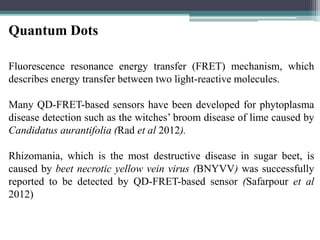 Quantum Dots
Fluorescence resonance energy transfer (FRET) mechanism, which
describes energy transfer between two light-reactive molecules.
Many QD-FRET-based sensors have been developed for phytoplasma
disease detection such as the witches’ broom disease of lime caused by
Candidatus aurantifolia (Rad et al 2012).
Rhizomania, which is the most destructive disease in sugar beet, is
caused by beet necrotic yellow vein virus (BNYVV) was successfully
reported to be detected by QD-FRET-based sensor (Safarpour et al
2012)
 