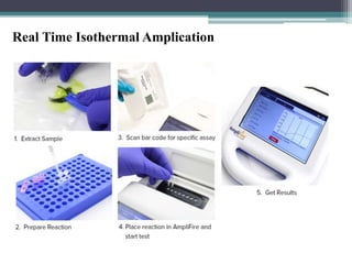 Real Time Isothermal Amplication
 
