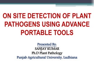 ON SITE DETECTION OF PLANT
PATHOGENS USING ADVANCE
PORTABLE TOOLS
Presented By:
SANJAY KUMAR
Ph.D Plant Pathology
Punjab Agricultural University, Ludhiana
 