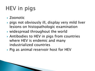 Zoonoticpigsnotobviously ill, displayverymildliverlesions on histopathologicexaminationwidespreadthroughouttheworldAntibodiesto HEV inpigsfromcountrieswhere HEV isendemicand manyindustrializedcountriesPigasanimalreservoir host for HEVHEV inpigs