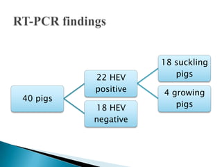 RT-PCR findings