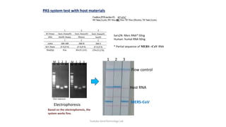 Detection of virus sequences using STH-PAS and Real-time PCR