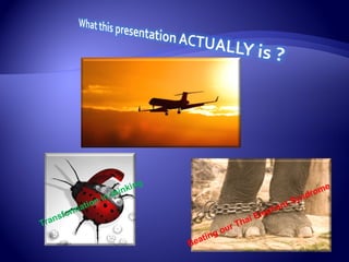 Transformation in thinking
Beating our Thai Elephant Syndrome
 