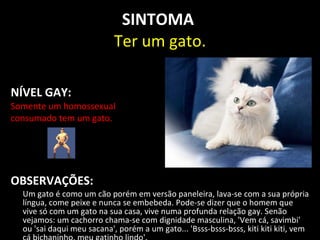 SINTOMA
                            Ter um gato.

NÍVEL GAY:
Somente um homossexual
consumado tem um gato.




OBSERVAÇÕES:
  Um gato é como um cão porém em versão paneleira, lava-se com a sua própria
  língua, come peixe e nunca se embebeda. Pode-se dizer que o homem que
  vive só com um gato na sua casa, vive numa profunda relação gay. Senão
  vejamos: um cachorro chama-se com dignidade masculina, 'Vem cá, savimbi'
  ou 'sai daqui meu sacana', porém a um gato... 'Bsss-bsss-bsss, kiti kiti kiti, vem
 