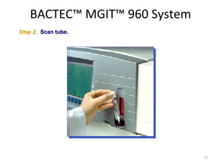 Deteksi mikobakterium menggunakan manual mgit dan bactectm mgittm 960 ...