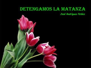 DETENGAMOS LA MATANZA
José Rodríguez Peláez
 