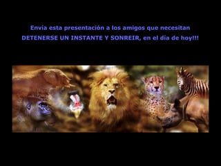 Envía esta presentación a los amigos que necesitan DETENERSE UN INSTANTE Y SONREIR, en el día de hoy!!! 