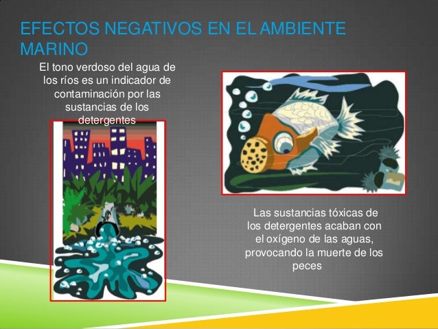 Efectos Nocivos De Un Detergente En El Ambiente