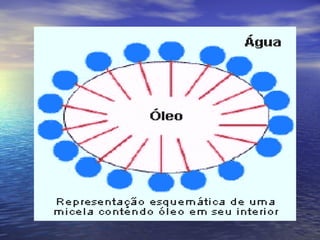 Detergentes BiodegradáVeis